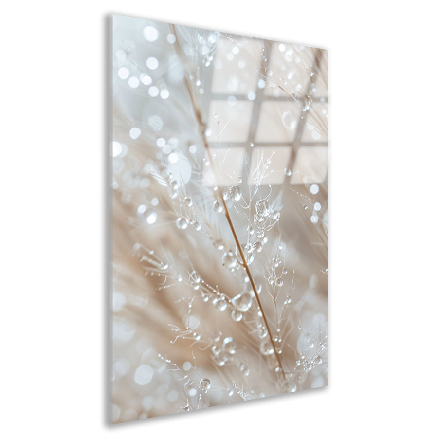 Glinsterende dauwdruppels op grashalmen acrylglas