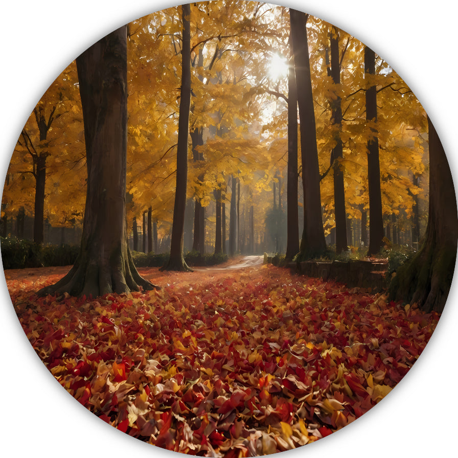 Herfstbladeren en Zonnestralen in het Bos aluminium muurcirkel
