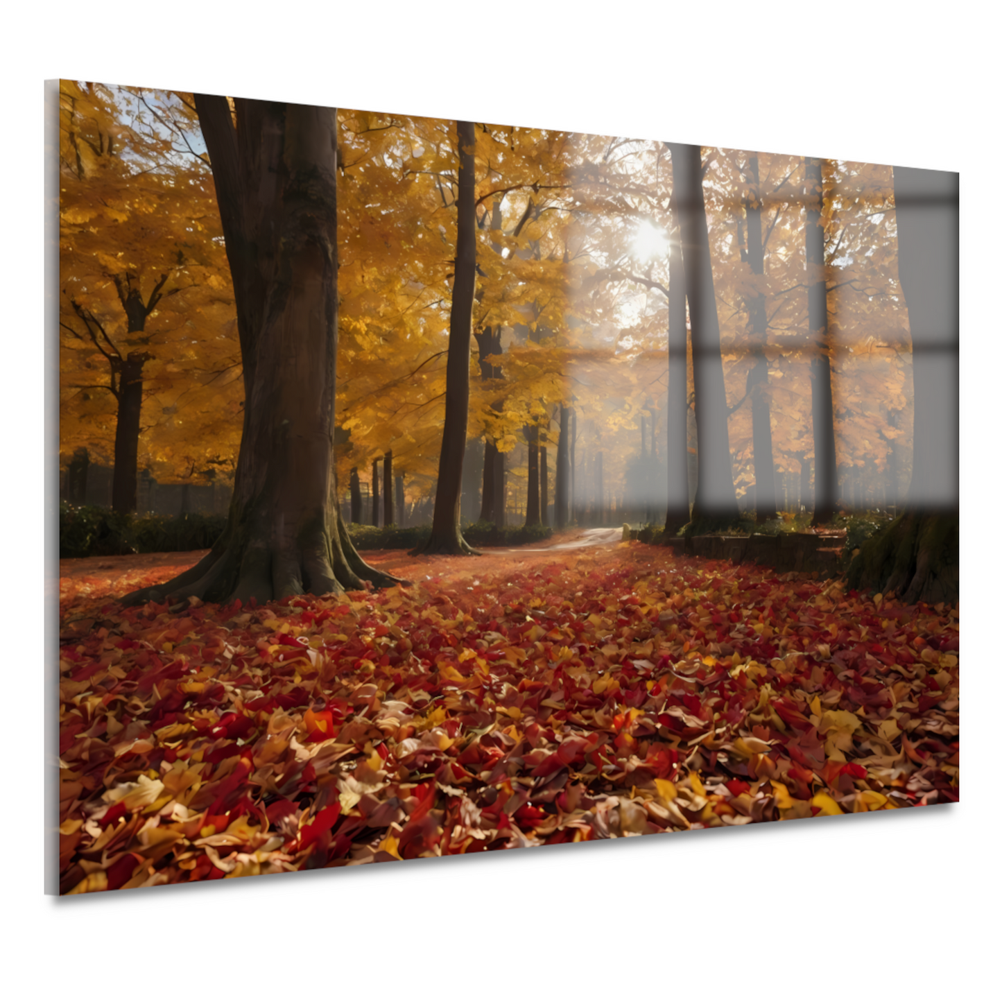 Herfstbladeren en Zonnestralen in het Bos acrylglas