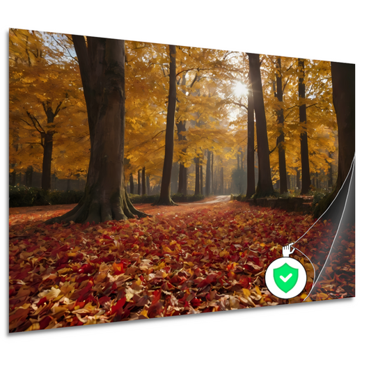 Herfstbladeren en Zonnestralen in het Bos poster