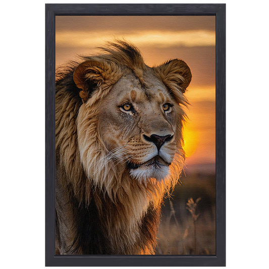 Majestueuze leeuw bij zonsondergang canvas met baklijst