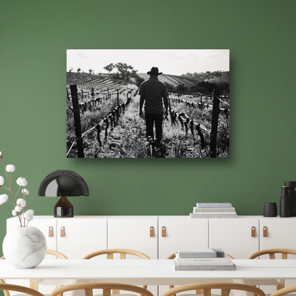 Man wandelt door zonovergoten wijngaard canvas met baklijst