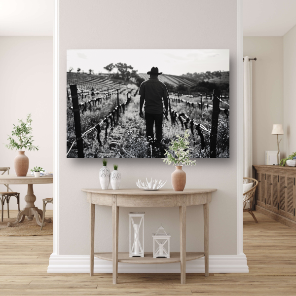 Man wandelt door zonovergoten wijngaard poster