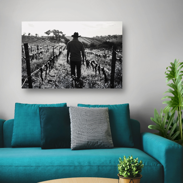 Man wandelt door zonovergoten wijngaard canvas met baklijst