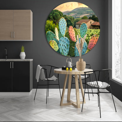 Kleurrijke cactus in Toscaanse zonsondergang aluminium muurcirkel