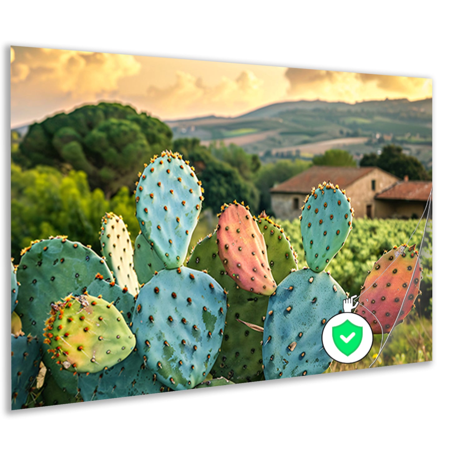 Kleurrijke cactus in Toscaanse zonsondergang poster