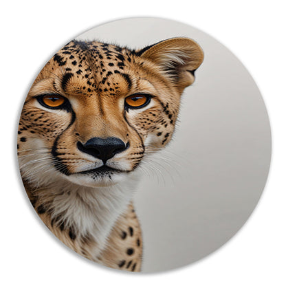 Intense Blik van een Majestueuze Cheeta forex muurcirkel