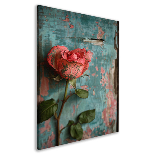 Een Roze Roos Tegen Verweerd Hout canvas