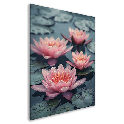 Roze waterlelies drijven op kalm water canvas