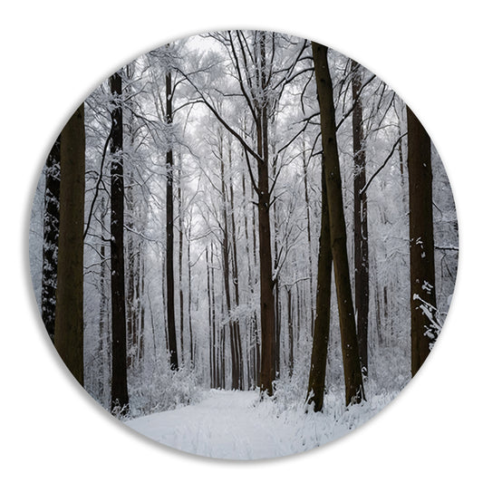 Betoverend besneeuwd bos in de winter aluminium muurcirkel