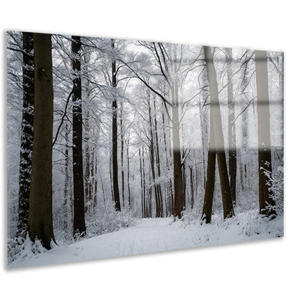 Betoverend besneeuwd bos in de winter acrylglas