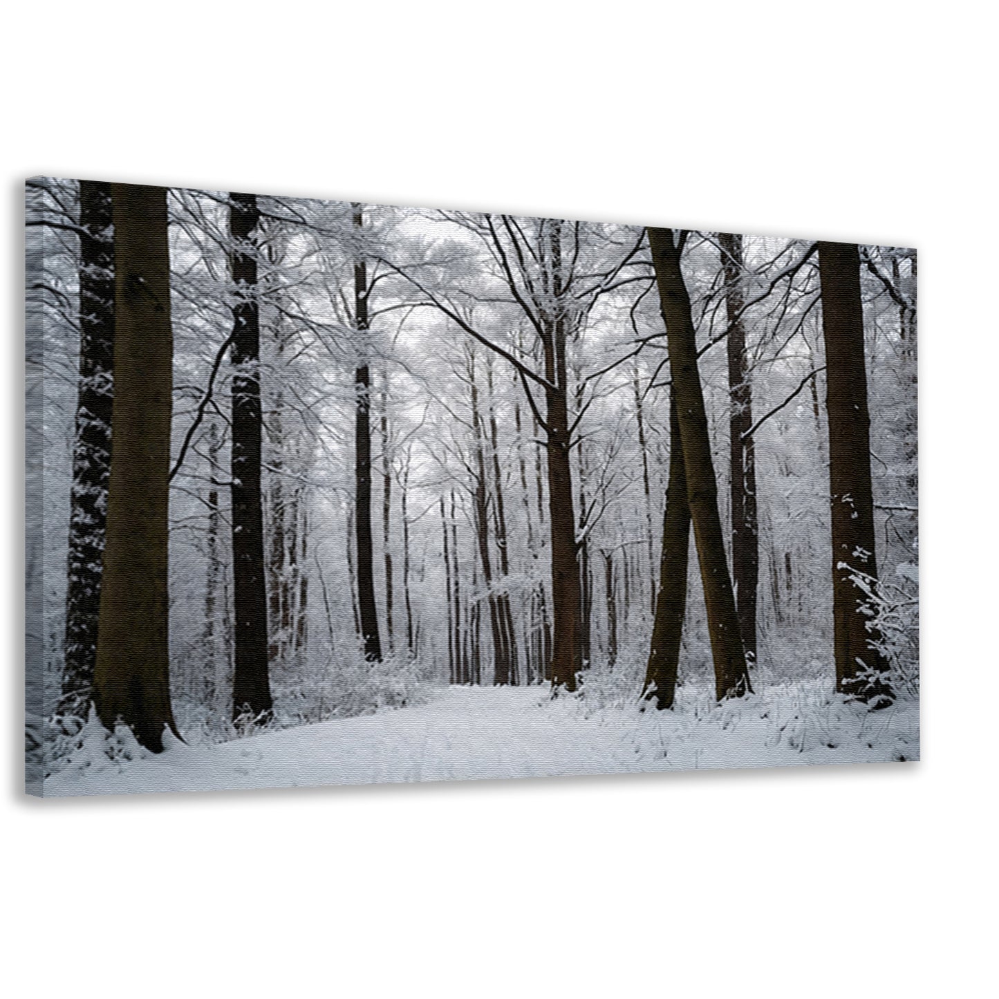 Betoverend besneeuwd bos in de winter canvas
