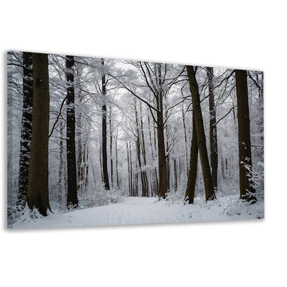 Betoverend besneeuwd bos in de winter canvas