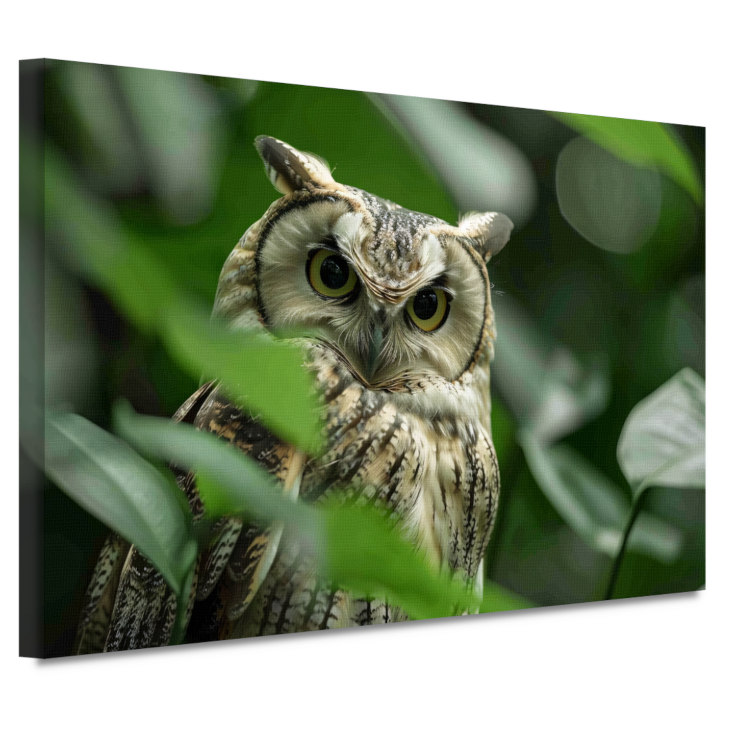 Uil tussen het groen van de jungle canvas