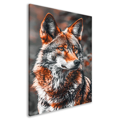 Portret van een Rode Wolf canvas