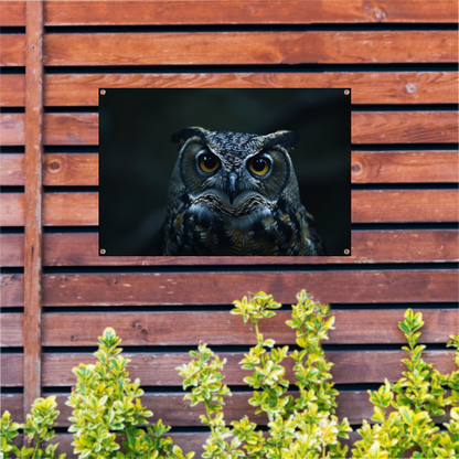 Nachtuil met doordringende gele ogen tuinposter