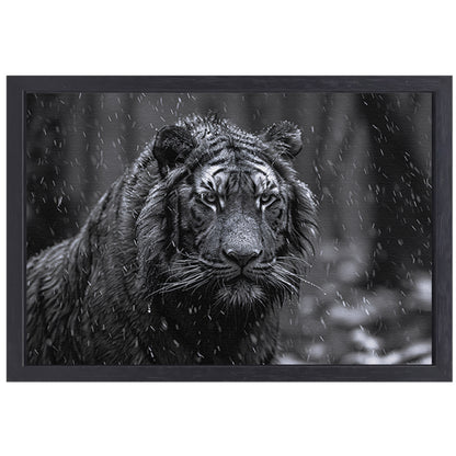 Majestueuze tijger in de regen canvas met baklijst