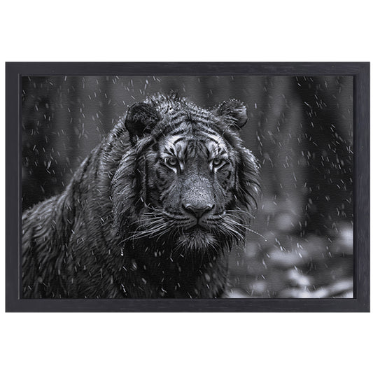Majestueuze tijger in de regen canvas met baklijst