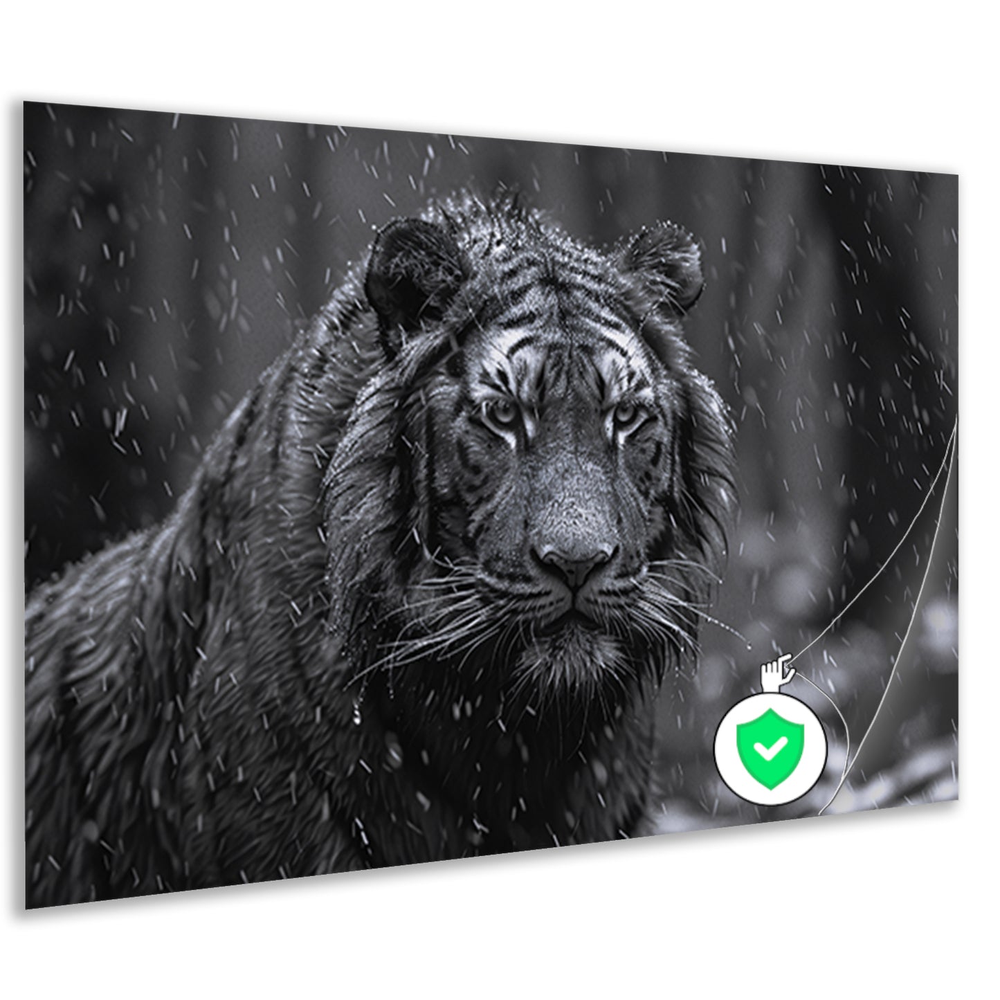 Majestueuze tijger in de regen poster