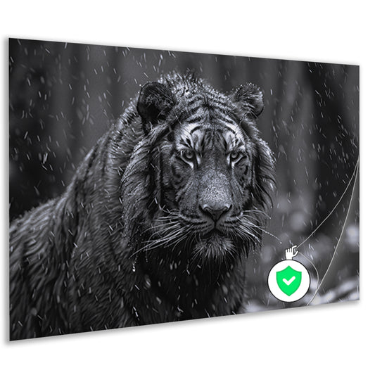 Majestueuze tijger in de regen poster