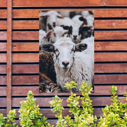 Monochroom portret van een schaap in een kudde tuinposter