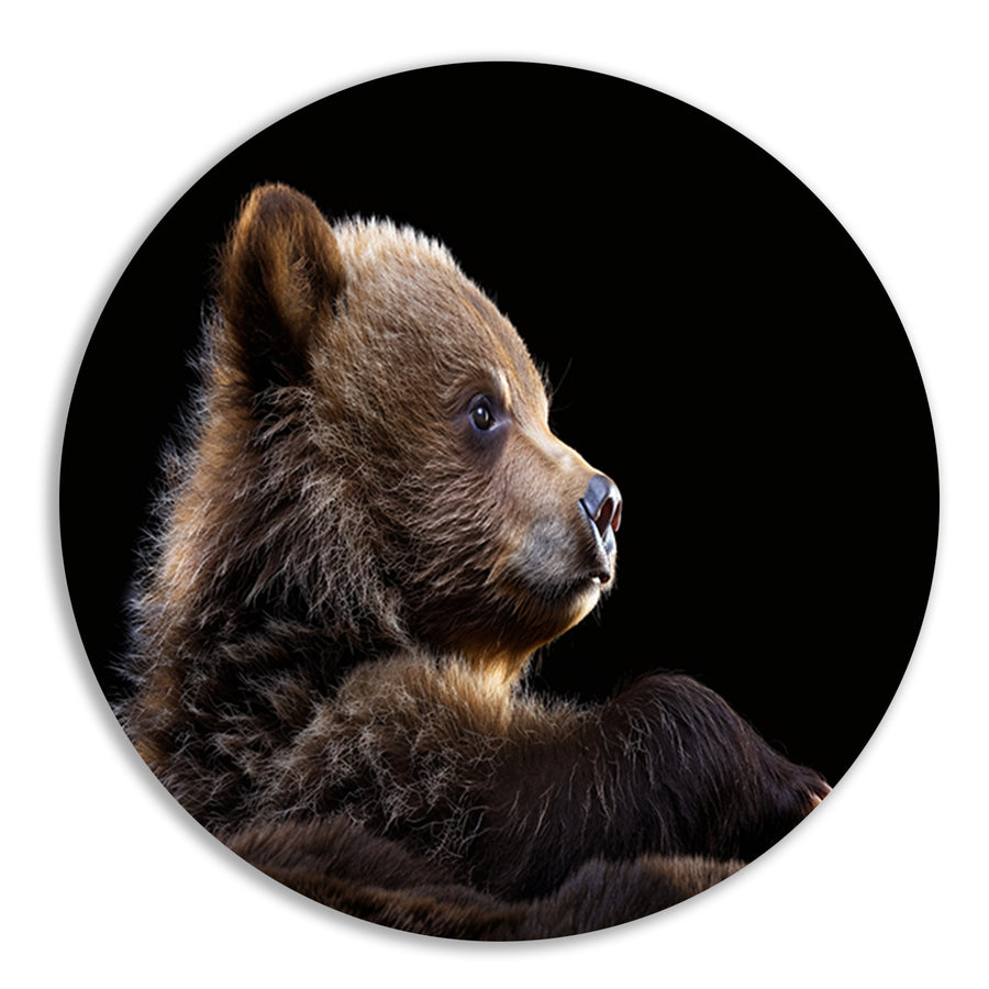 Intrigerende Bear Stare forex muurcirkel