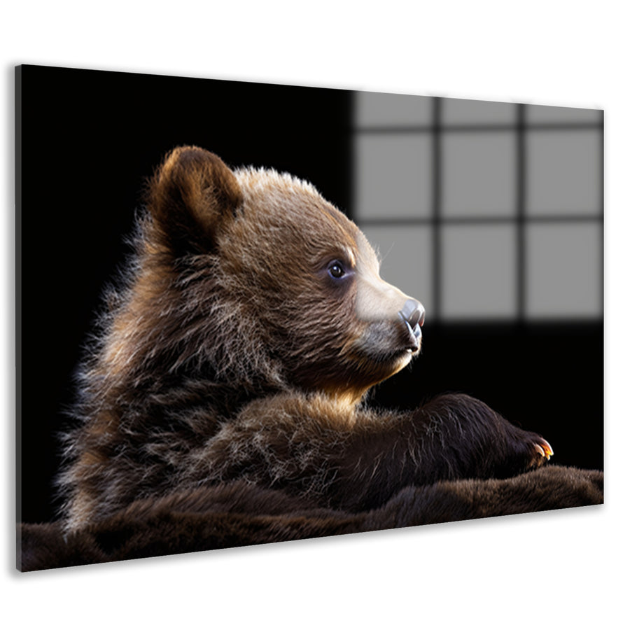 Intrigerende Bear Stare acrylglas