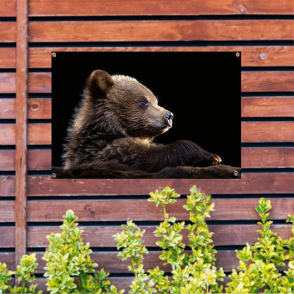Intrigerende Bear Stare tuinposter
