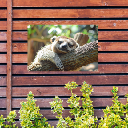 Vreedzame luiaard slapend in het zonlicht tuinposter