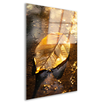 Herfstblad in gouden licht op natte ondergrond acrylglas