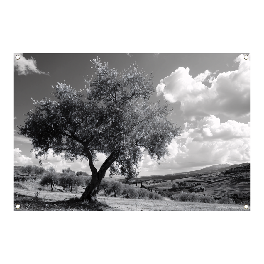 Stilleven met boom tuinposter