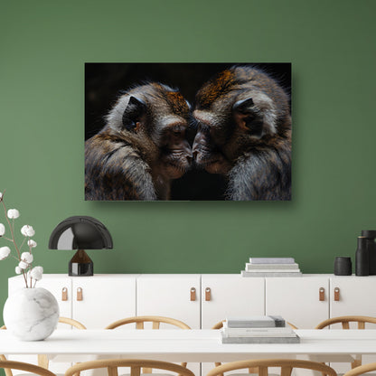 Twee apen in intense confrontatie canvas met baklijst
