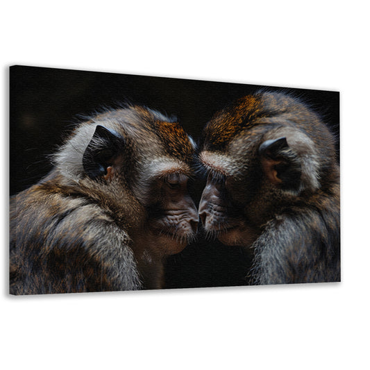 Twee apen in intense confrontatie canvas