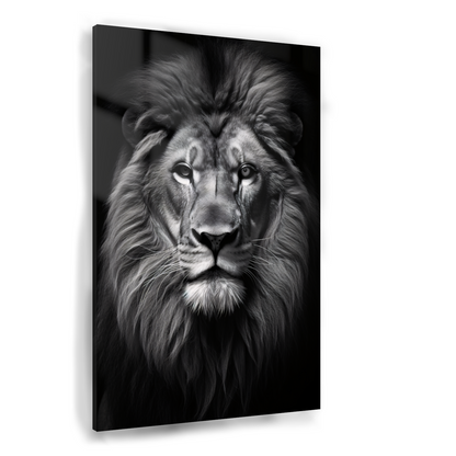 Staren van de Afrikaanse Koning Acrylglas