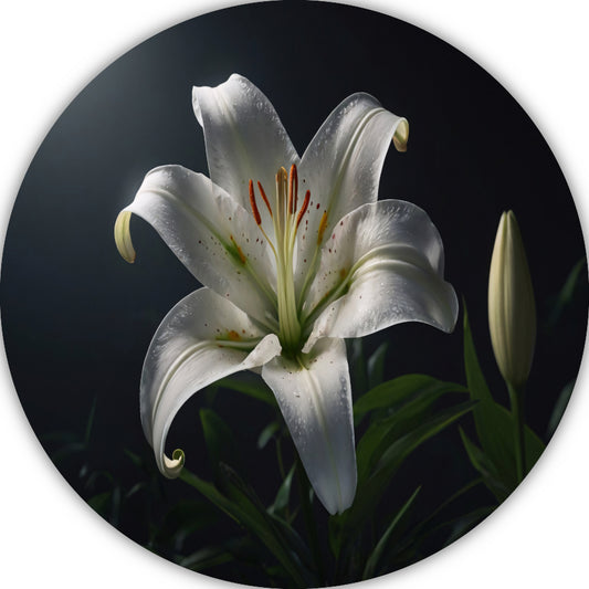 Elegante Witte Lelie met Waterdruppels aluminium muurcirkel