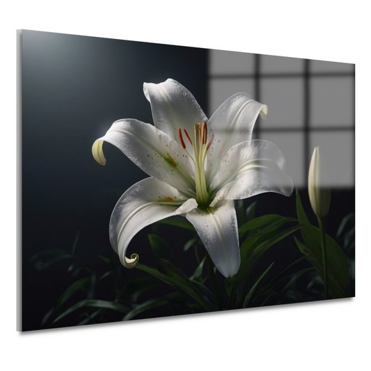Elegante Witte Lelie met Waterdruppels acrylglas