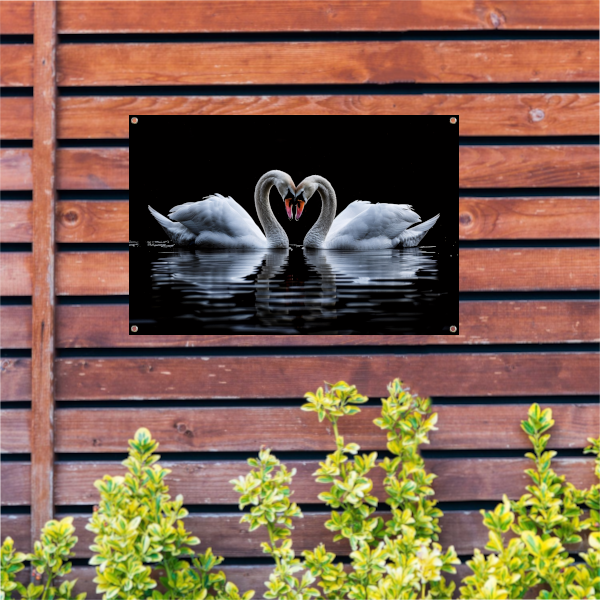 Twee zwanen vormen een hart tuinposter