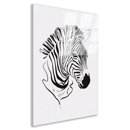 Abstracte zwart-witte zebra lijntekening acrylglas