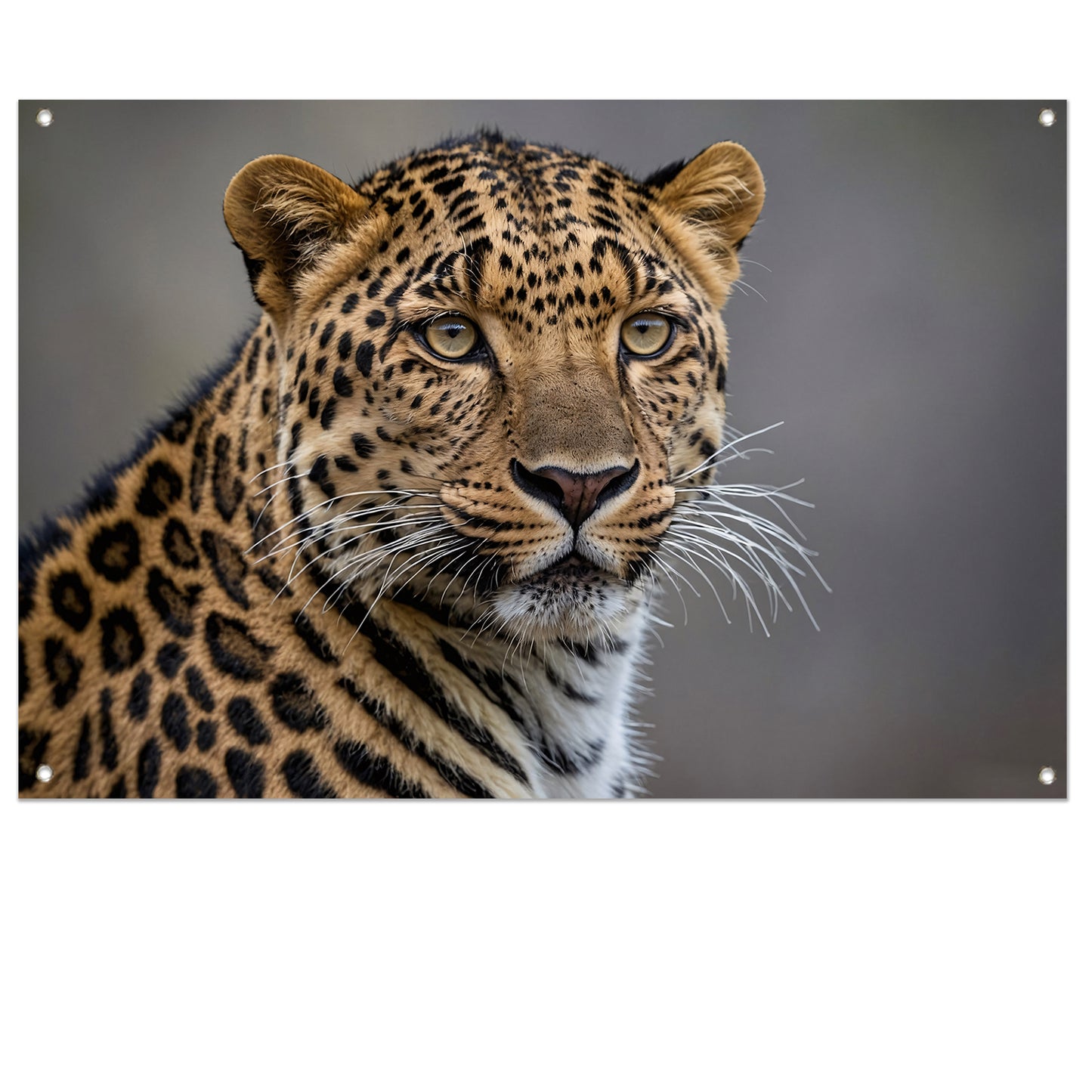 Realistische close-up van een luipaard tuinposter