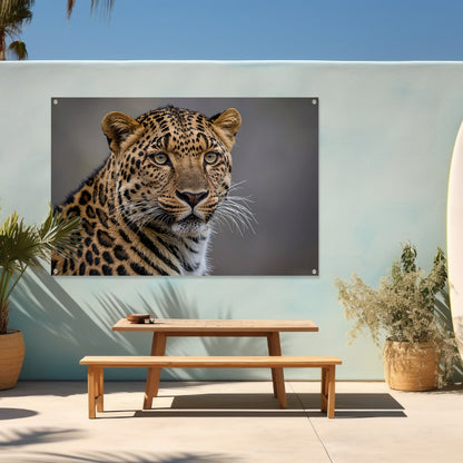 Realistische close-up van een luipaard tuinposter