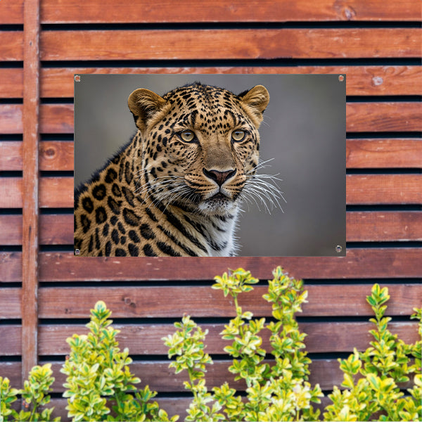 Realistische close-up van een luipaard tuinposter