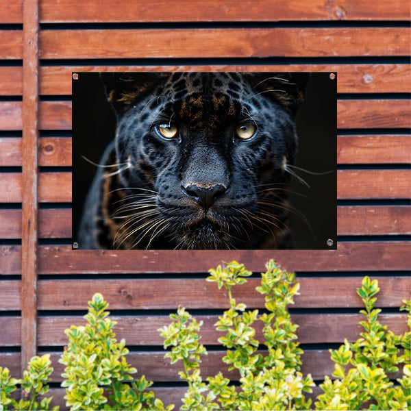 Zwarte panter: Intense blik tuinposter