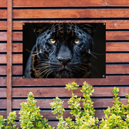 Zwarte panter: Intense blik tuinposter