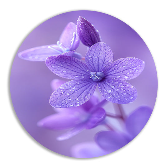 Paarse bloemen met dauwdruppels in close-up aluminium muurcirkel