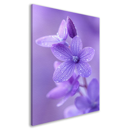 Paarse bloemen met dauwdruppels in close-up canvas