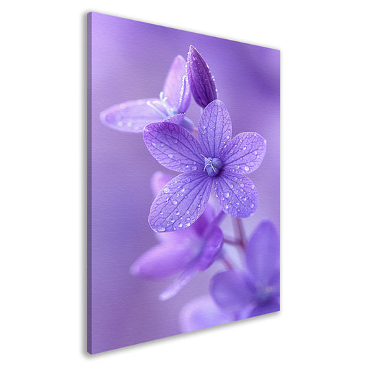 Paarse bloemen met dauwdruppels in close-up canvas