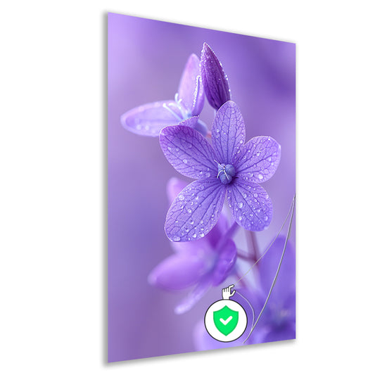 Paarse bloemen met dauwdruppels in close-up poster