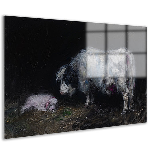 Schaap met slapend lam in rustieke omgeving acrylglas