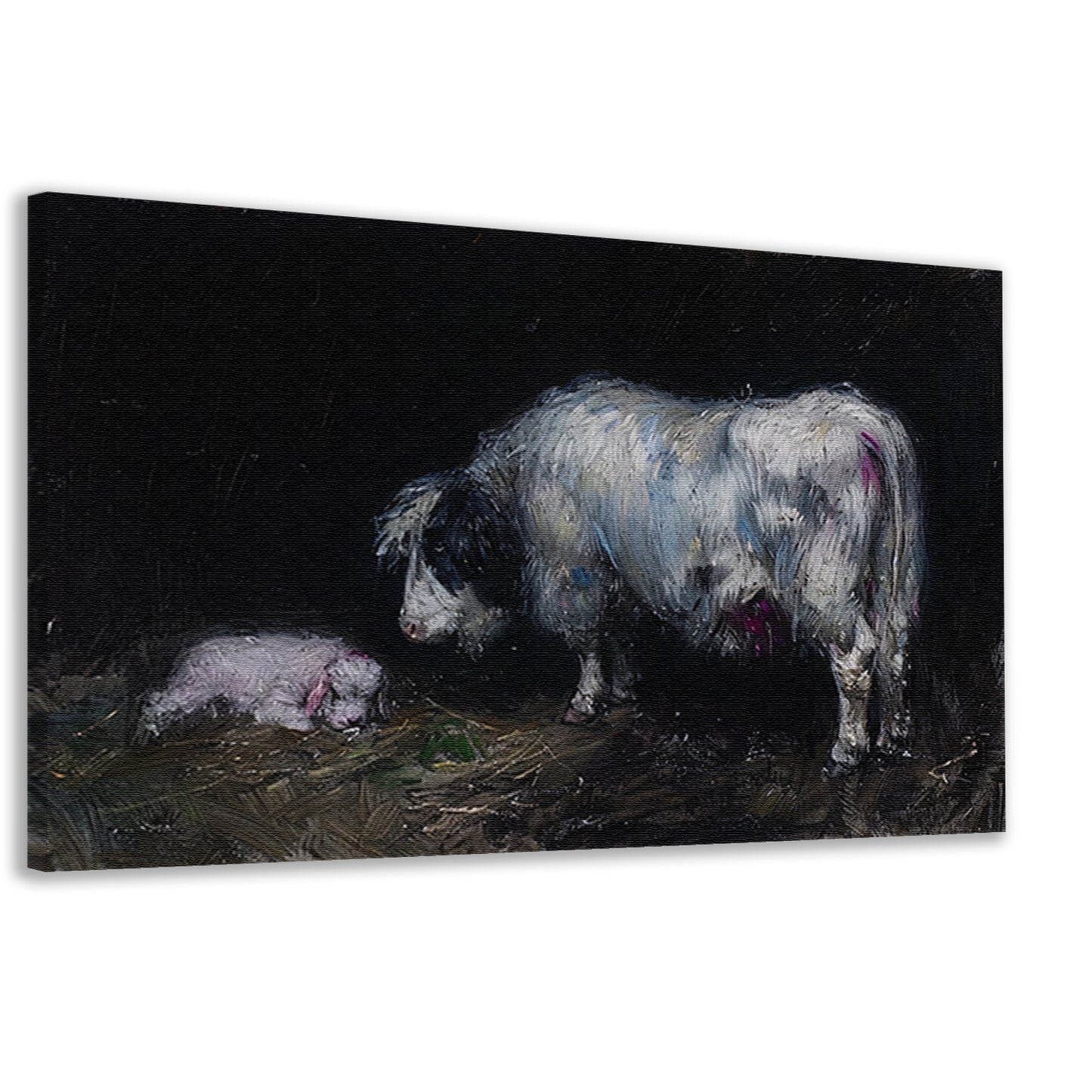 Schaap met slapend lam in rustieke omgeving canvas