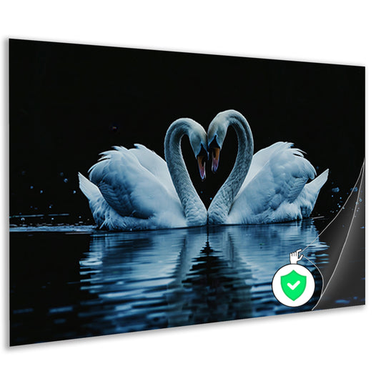 Twee zwanen in hartvorm op water poster